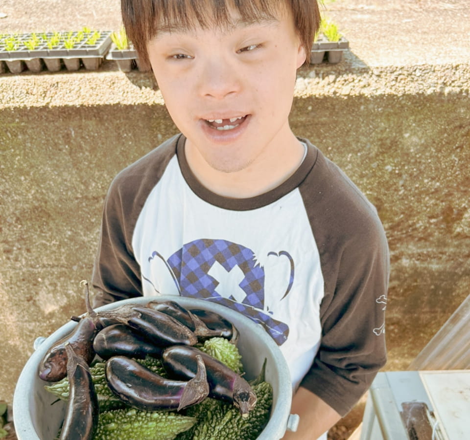 収穫作業はみんなの楽しみ、ピカピカの茄子の収穫に笑顔がこぼれます。